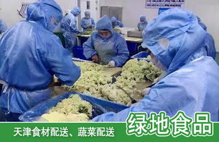 天津南开区绿色蔬菜配送,绿地食品加工
