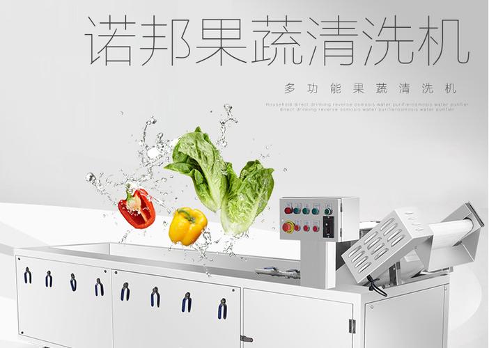 诺邦商用蔬菜清洗机 食品加工厂专用自动提升喷淋果蔬清洗机